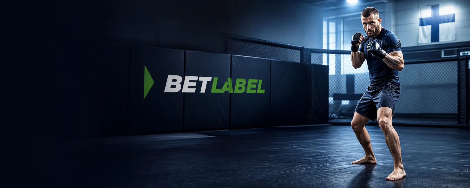 Adult martial artists in a premium Finnish sports scene